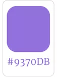 charte graphique couleur violette