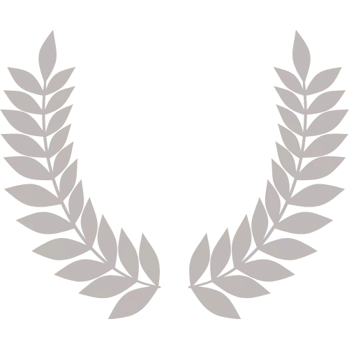 forfait premium médaille argent