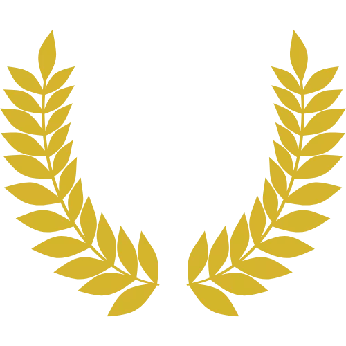 forfait élite médaille or