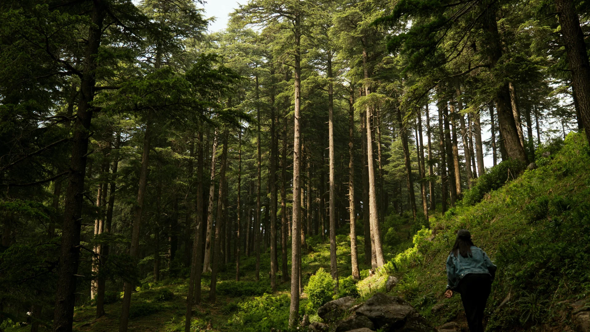 villa image activités randonnée (3)