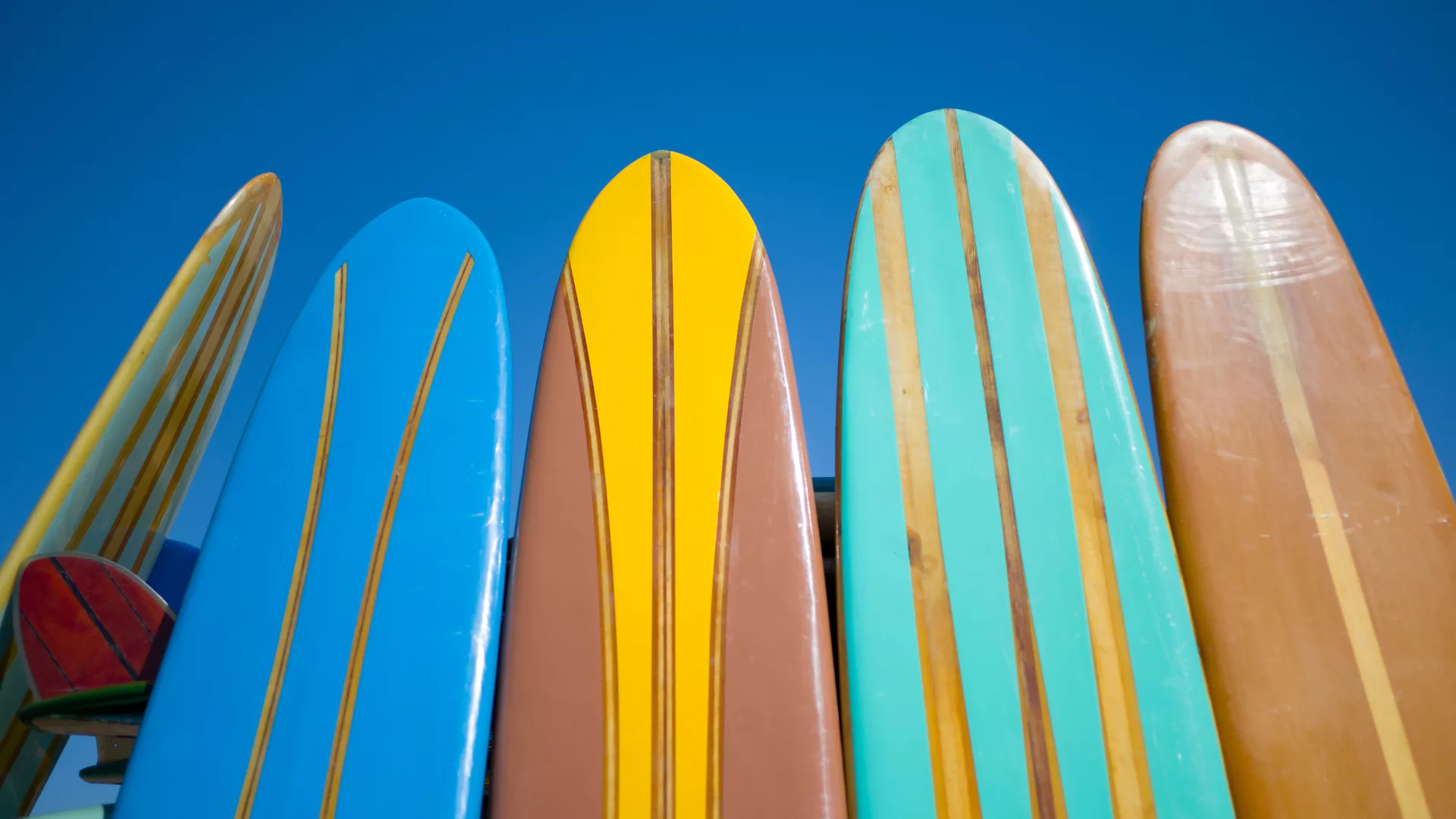 villa image activités surf (2)