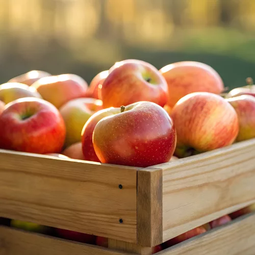 Pommes Golden (carton 3kg)