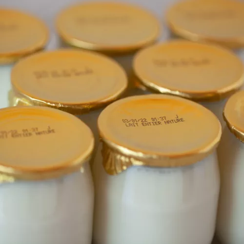 Yaourts Nature Fermiers (x4)